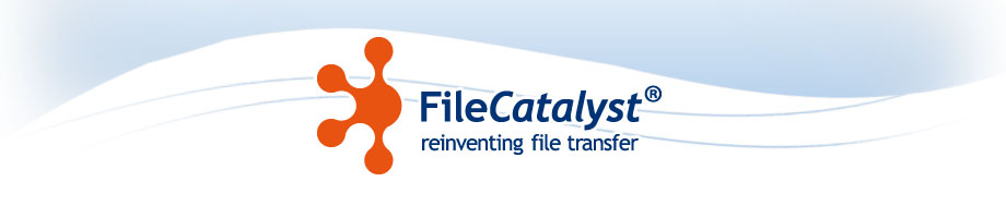 FileCatalyst Header Logo